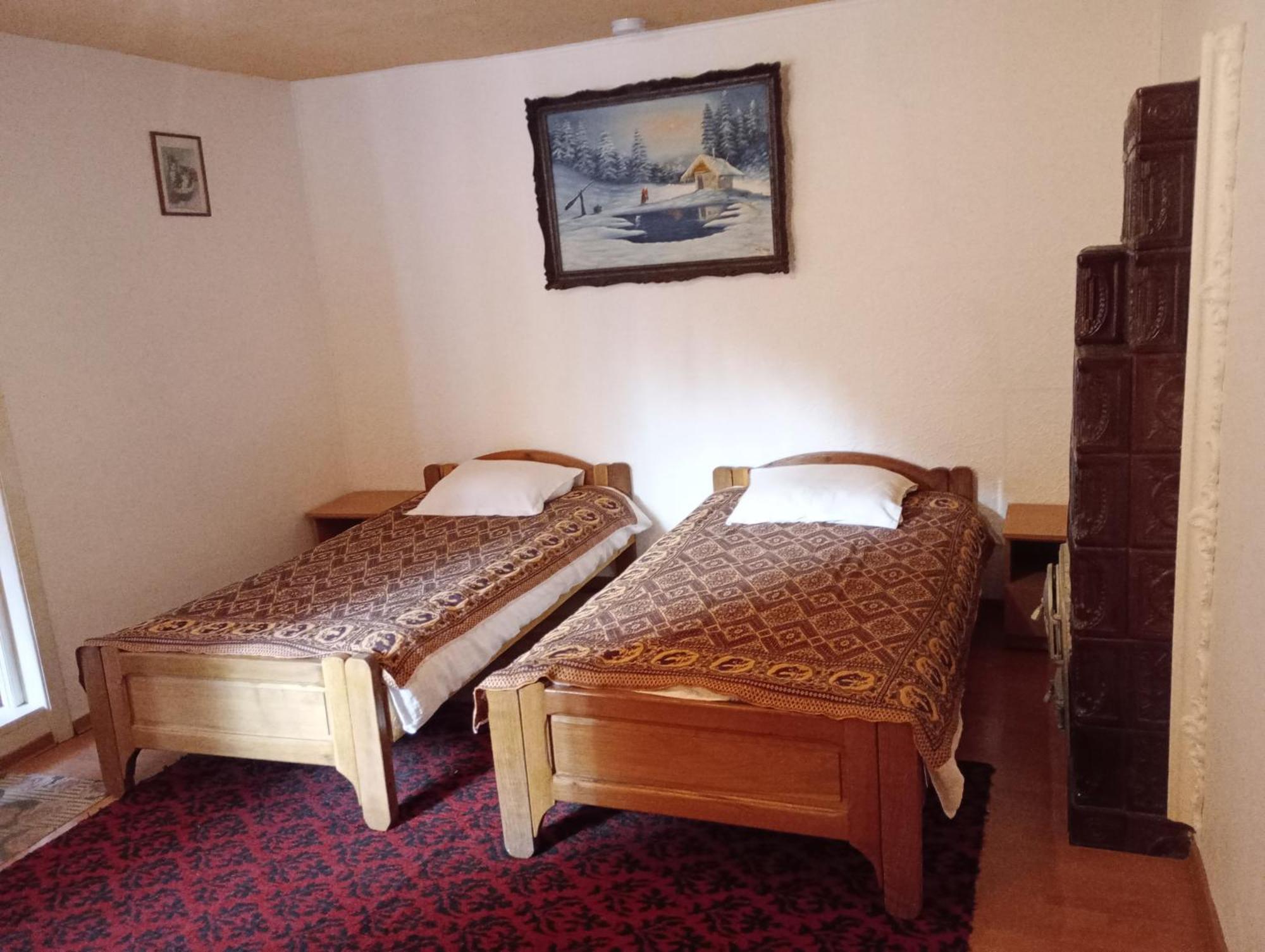 Pensiunea Irina 3 Zărneşti エクステリア 写真