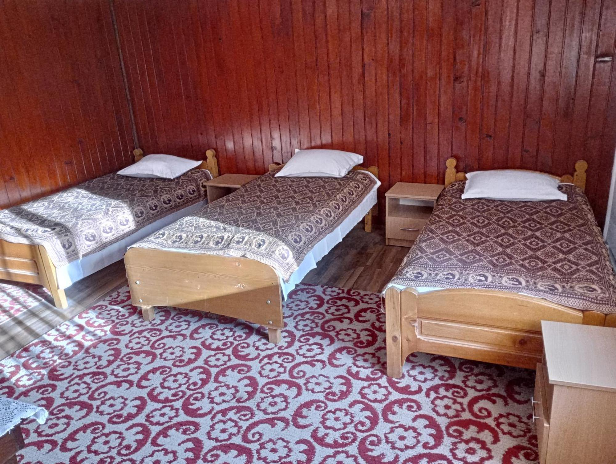 Pensiunea Irina 3 Zărneşti エクステリア 写真