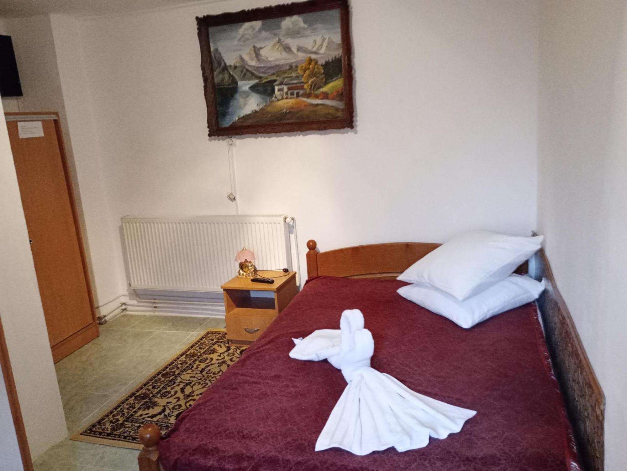 Pensiunea Irina 3 Zărneşti エクステリア 写真