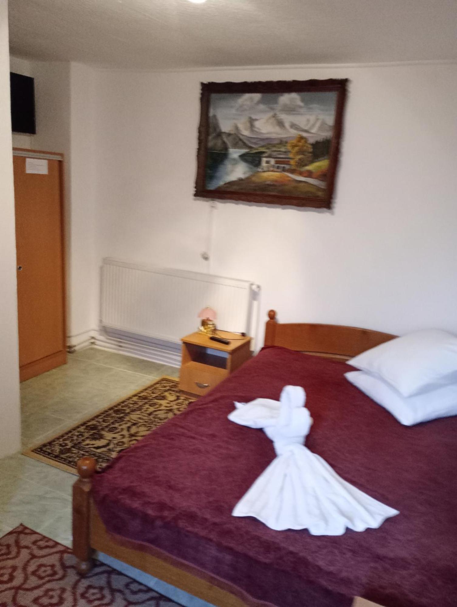Pensiunea Irina 3 Zărneşti エクステリア 写真
