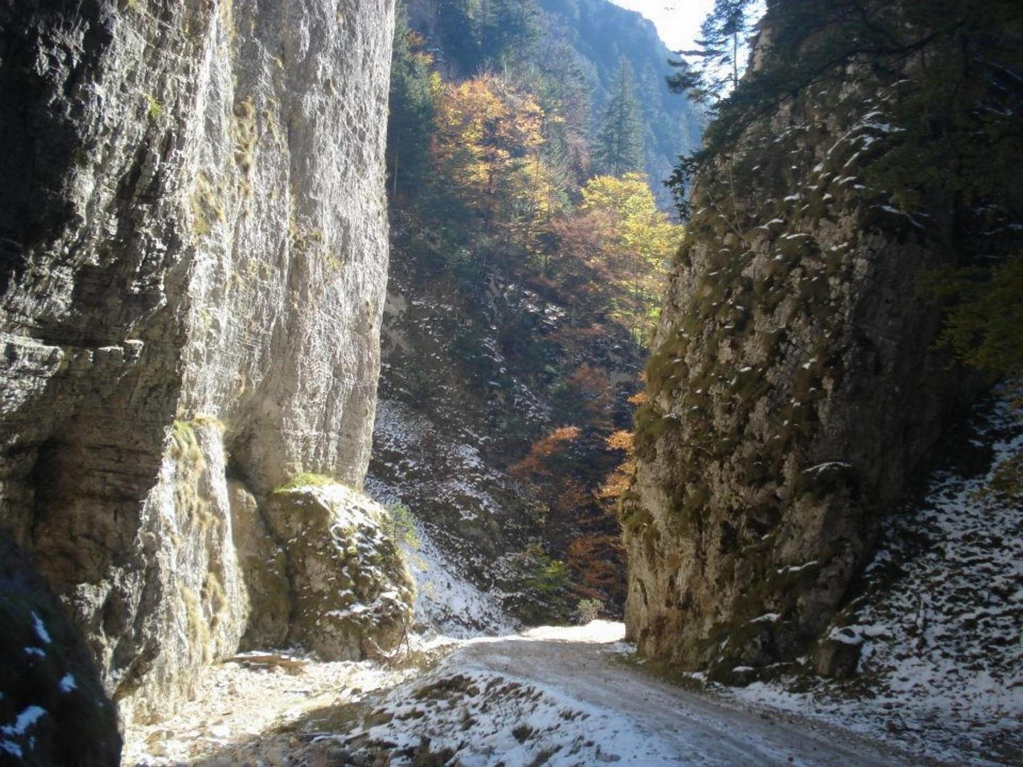 Pensiunea Irina 3 Zărneşti エクステリア 写真