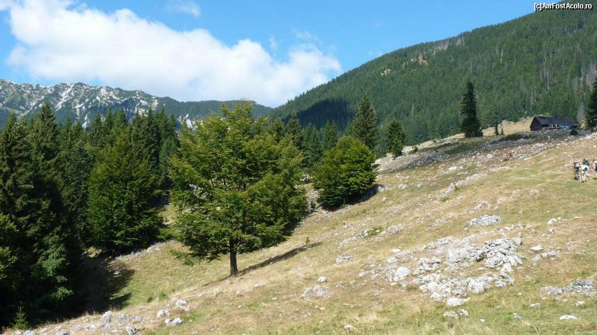 Pensiunea Irina 3 Zărneşti エクステリア 写真