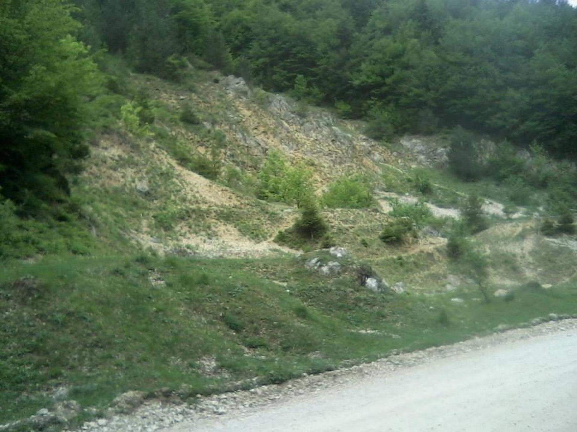 Pensiunea Irina 3 Zărneşti エクステリア 写真