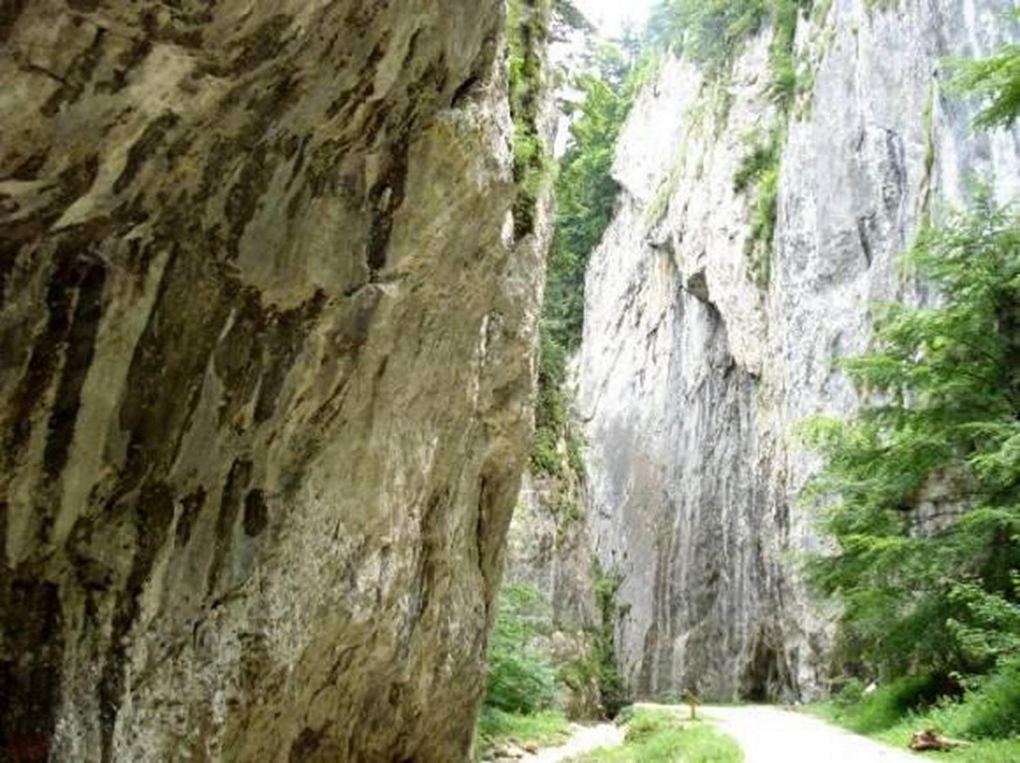 Pensiunea Irina 3 Zărneşti エクステリア 写真