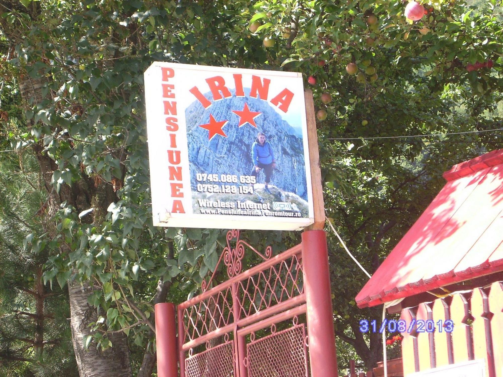 Pensiunea Irina 3 Zărneşti エクステリア 写真