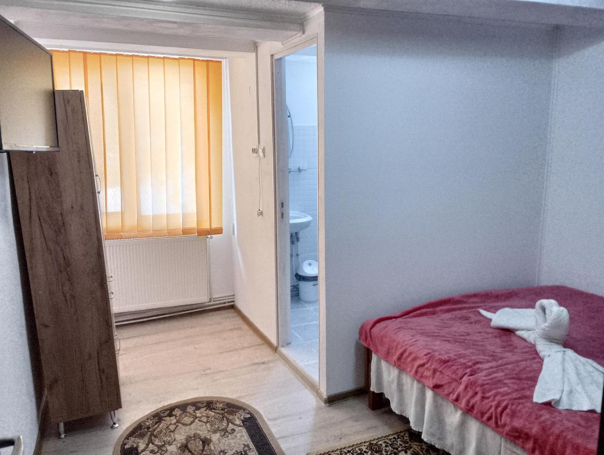 Pensiunea Irina 3 Zărneşti エクステリア 写真