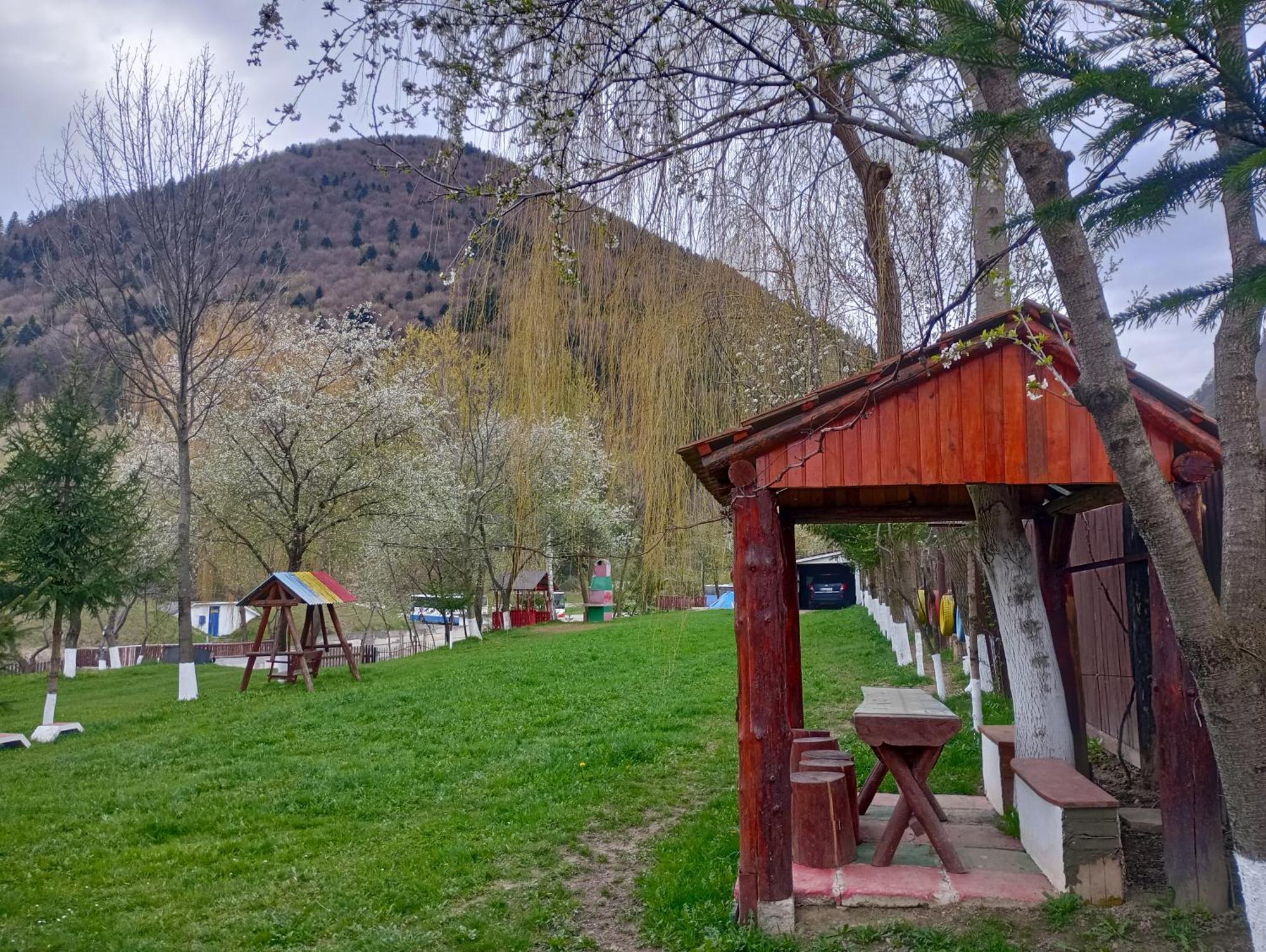 Pensiunea Irina 3 Zărneşti エクステリア 写真