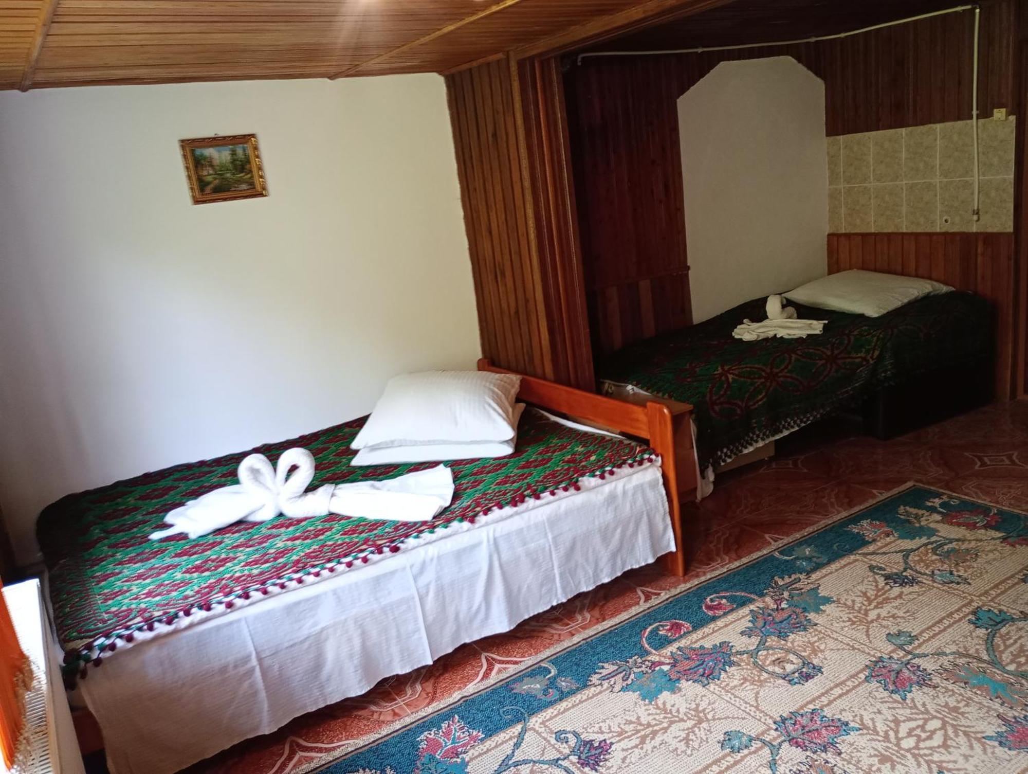 Pensiunea Irina 3 Zărneşti エクステリア 写真